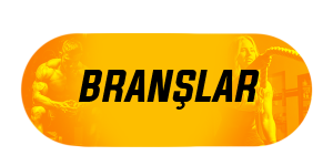Branşlar